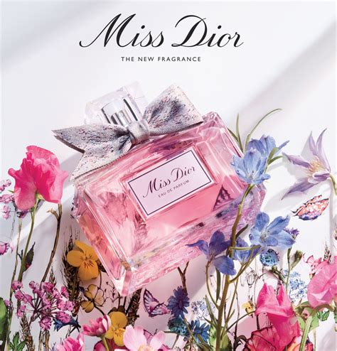 miss dior eau de pluie prijs|what does Miss Dior perfume smell like.